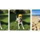 Gemini image editing